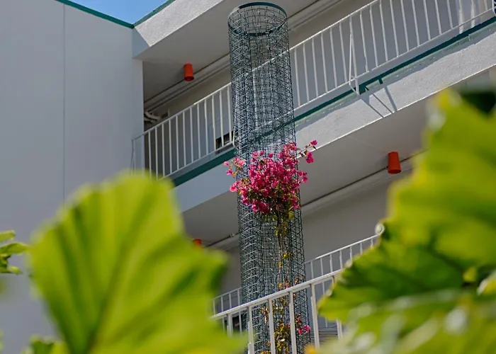 Oasis Inn San Francisco